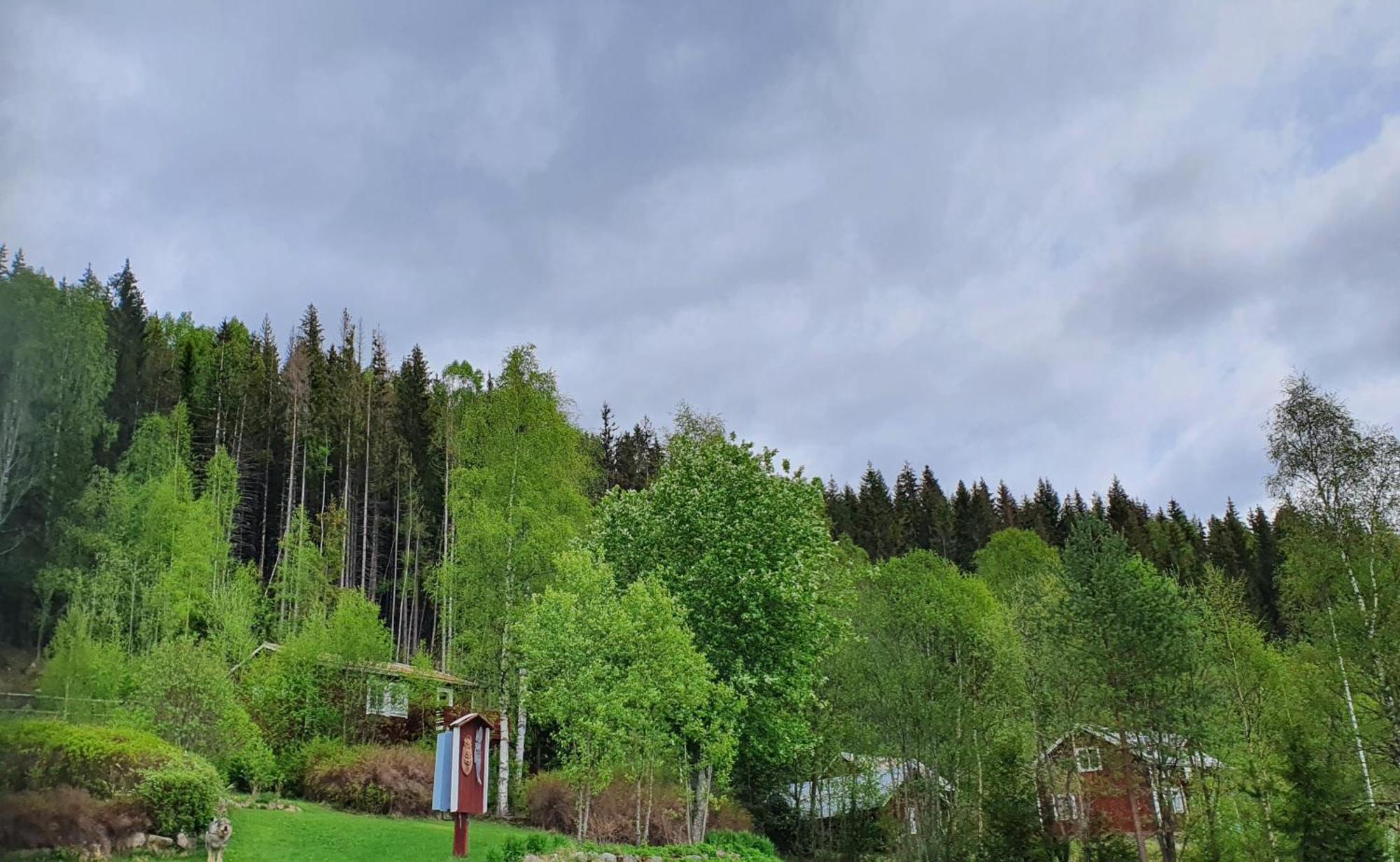 Vikinggard Cottages Holjes Exterior photo